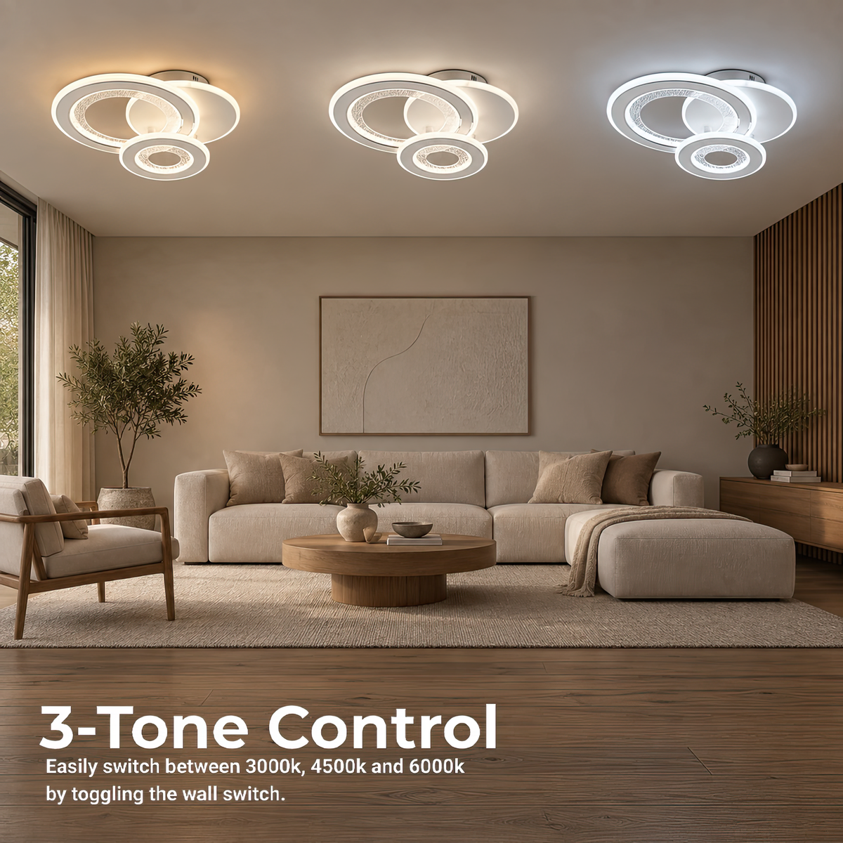 LL647-300R — 2. 3 Tone Control - LL647-300R.png