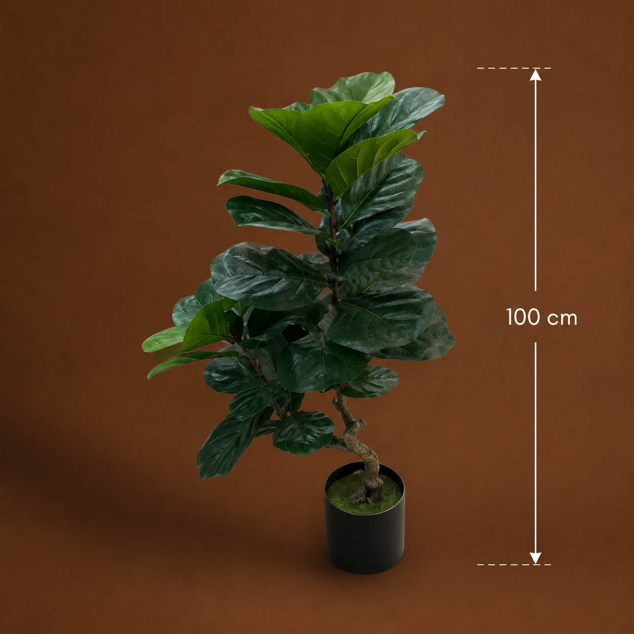 Decorațiune Ficus Lyrata, Ramificatie, 2 Ramuri, Plastic, 100 cm, Verde