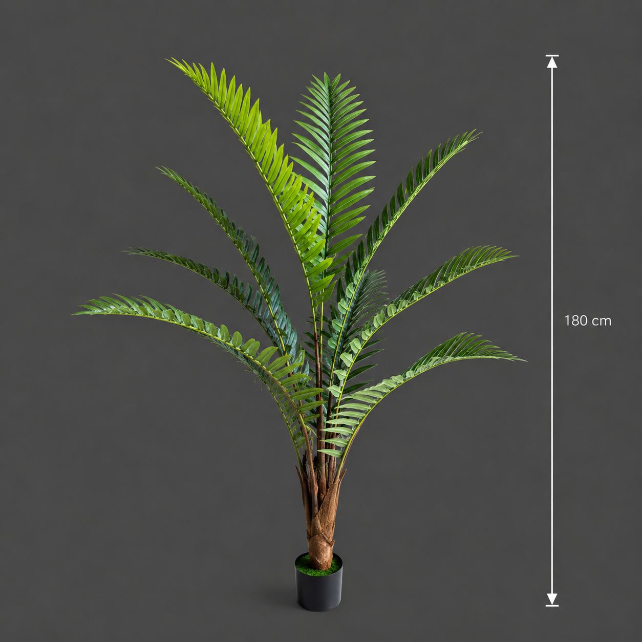 Decorațiune Roystonea Regia, 180 cm, 10 frunze, Verde