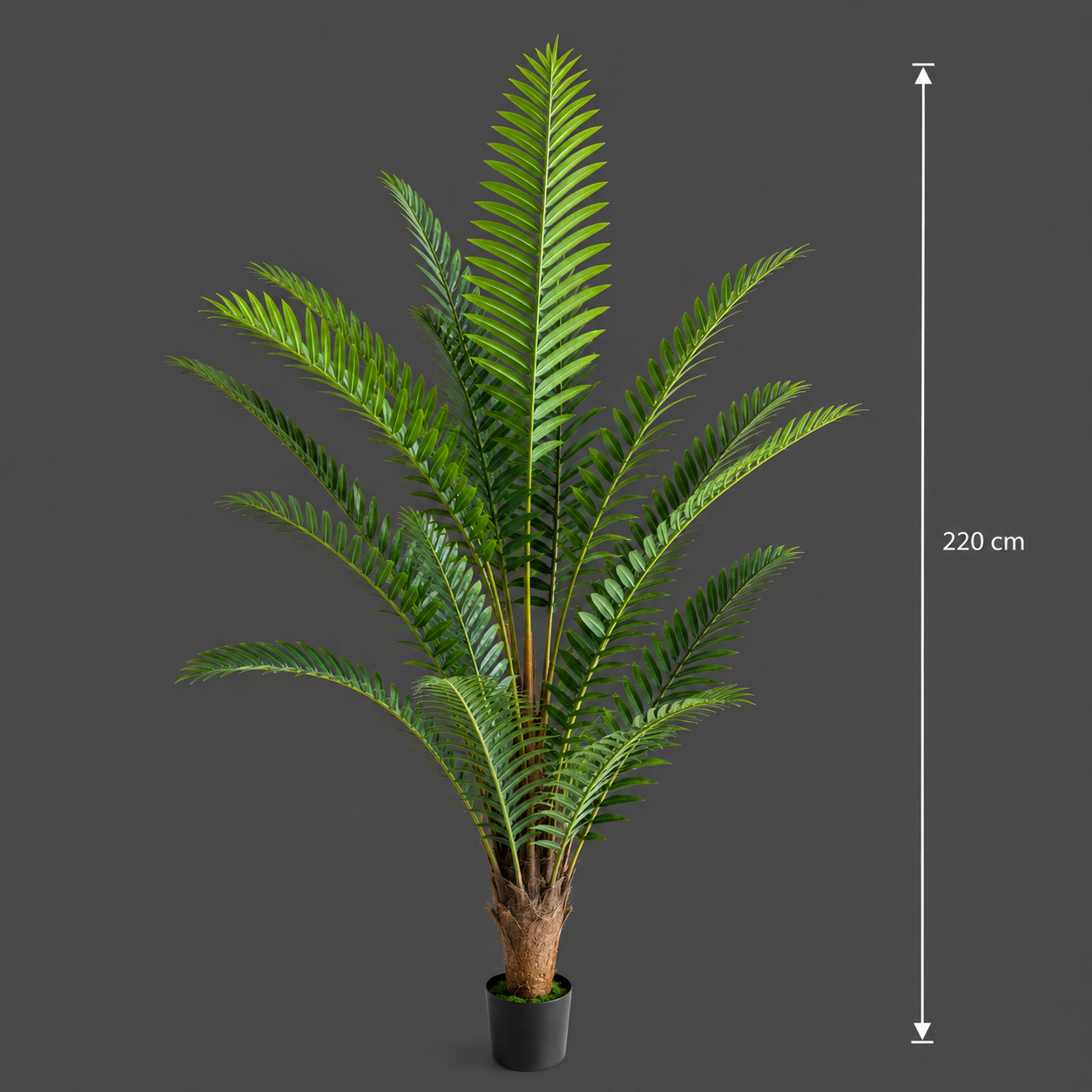 Decorațiune Roystonea Regia, 220 cm, 18 frunze, Verde