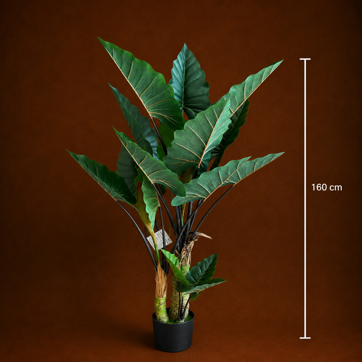 Decorațiune Strelitzia, 3 trunchiuri, Plastic, 160 cm, Verde