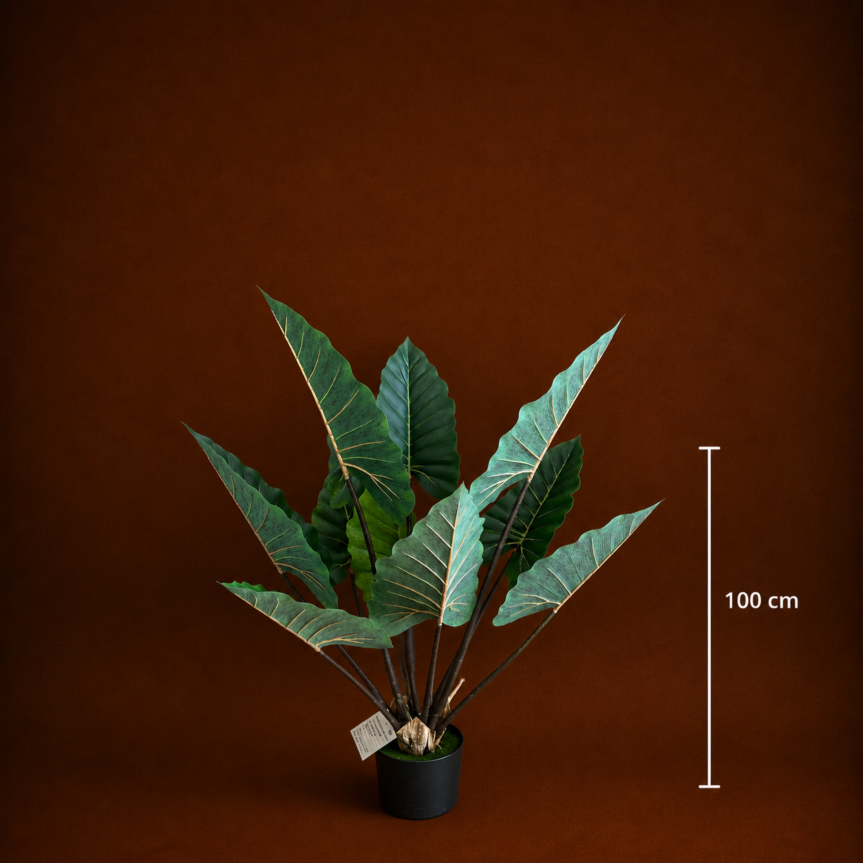 Decorațiune Strelitzia, Plastic, 100 cm, Verde