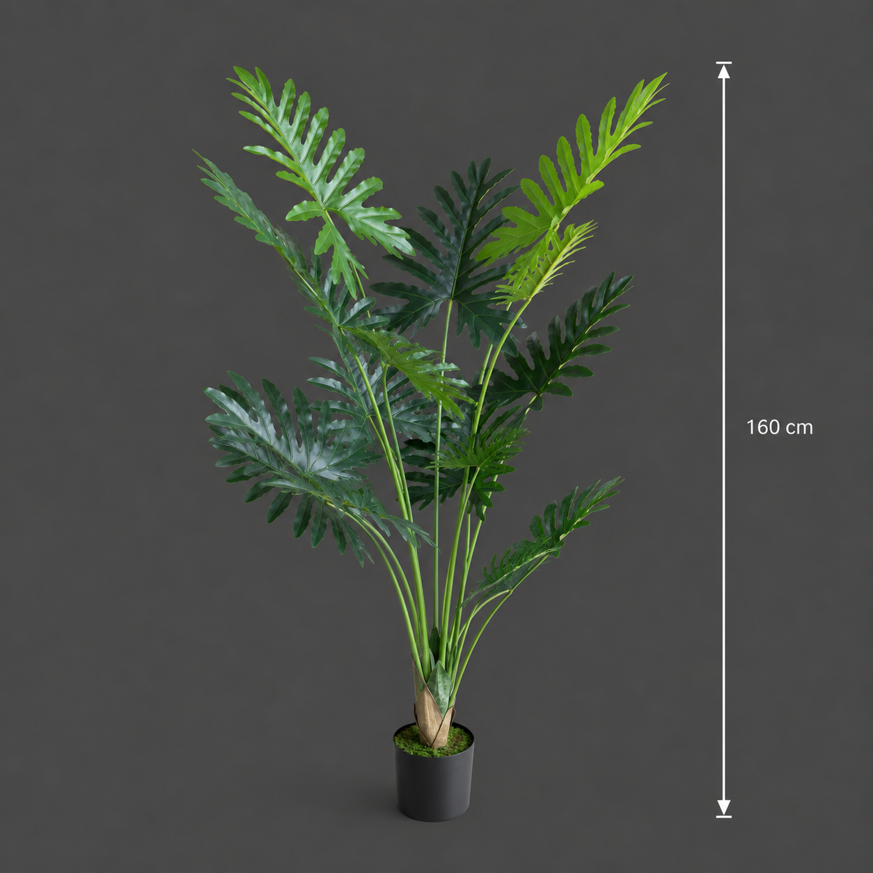 Decorațiune Thaumatophyllum Bipinnatifidum, 10 frunze, Plastic, 160 cm, Verde
