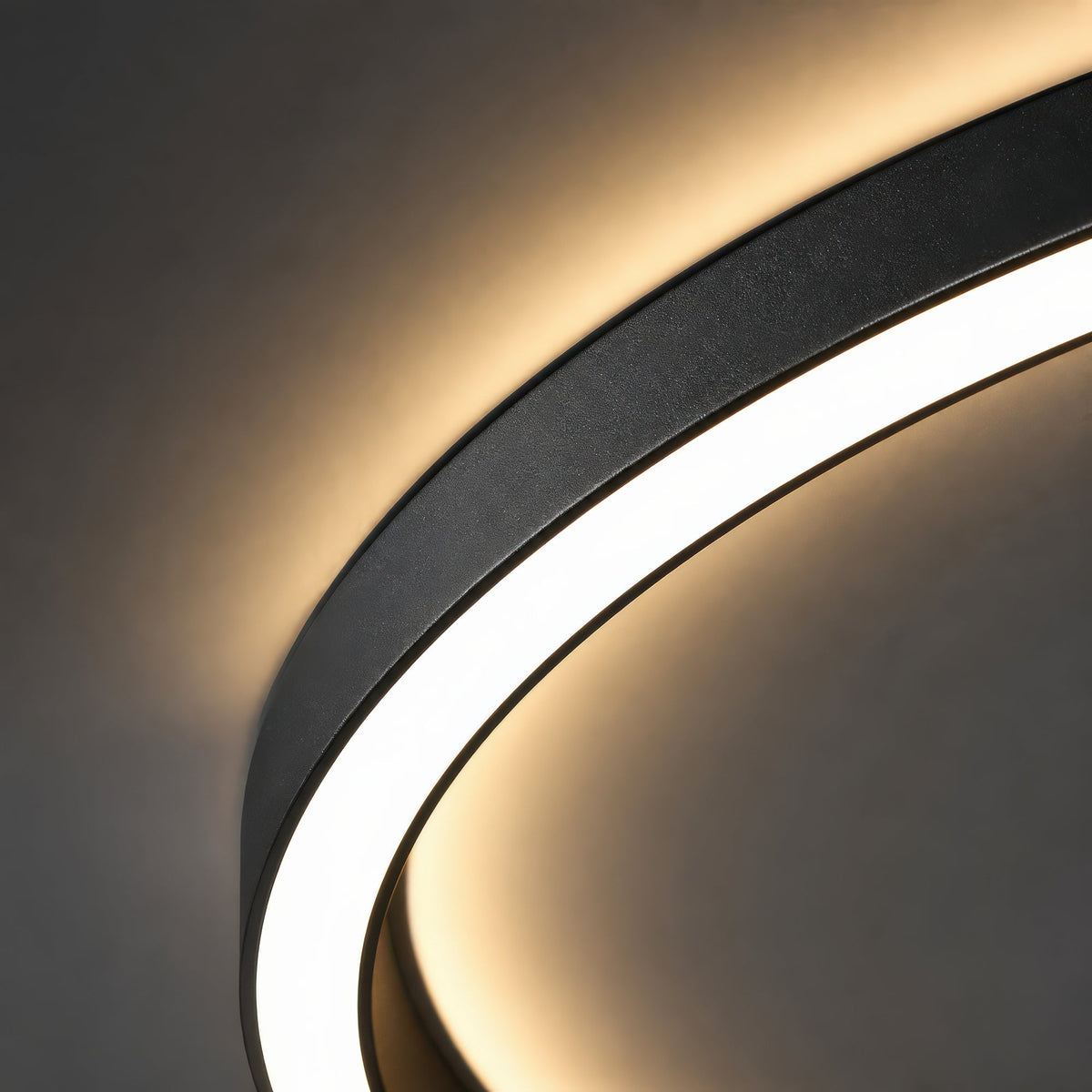 LT101 — LT101 - 8. DETAIL 1.jpg