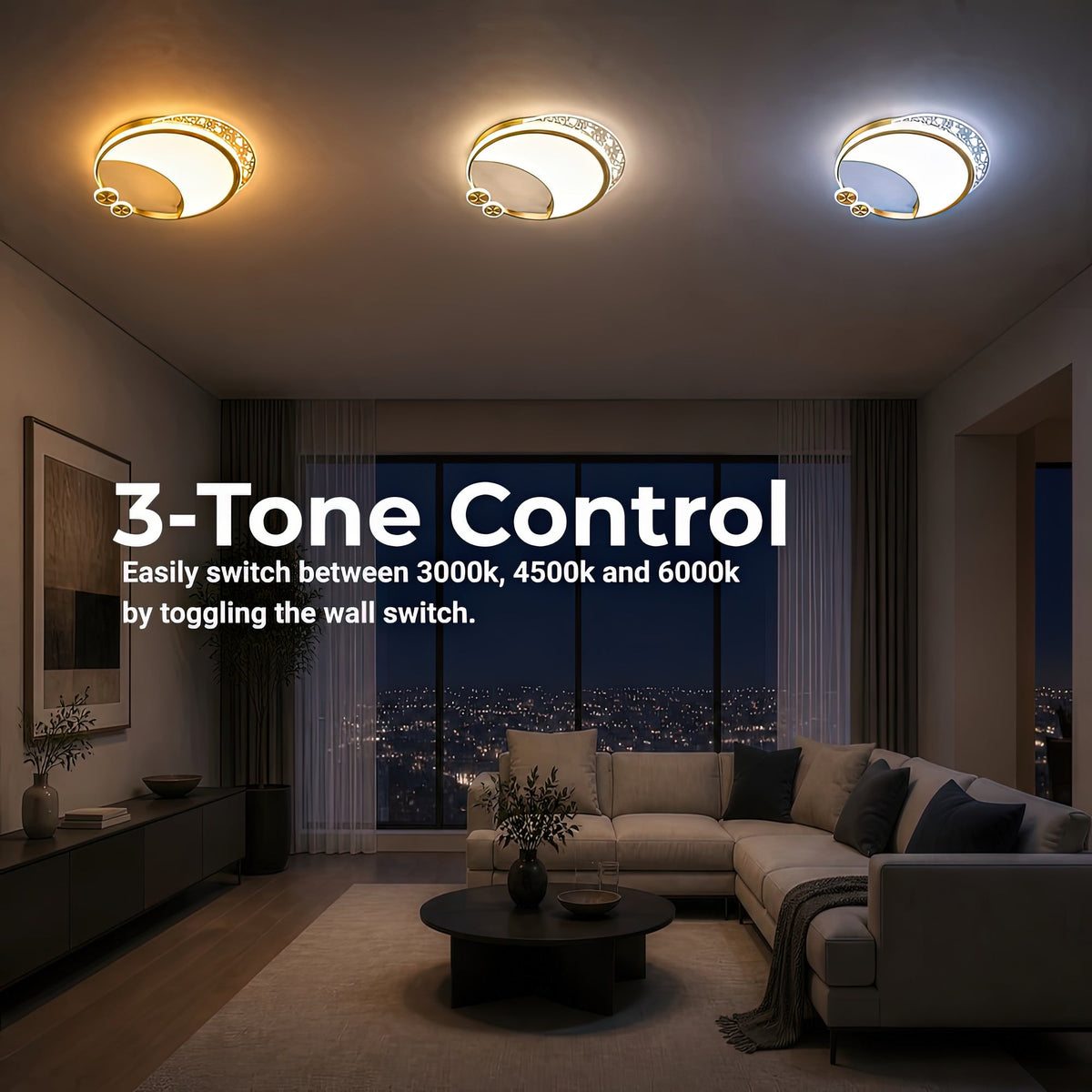 LT125GD — LT125GD - 4. 3-TONE CONTROL.jpg