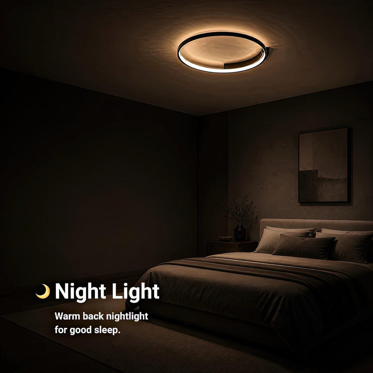 LT127BK — LT127BK - 5. NIGHT LIGHT.jpg