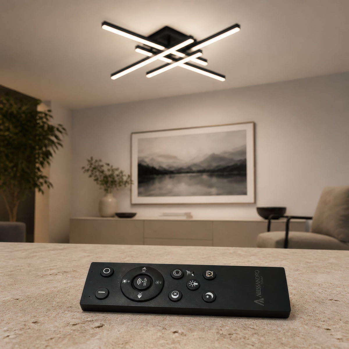 LT171_4BK - 2. REMOTE SHOW