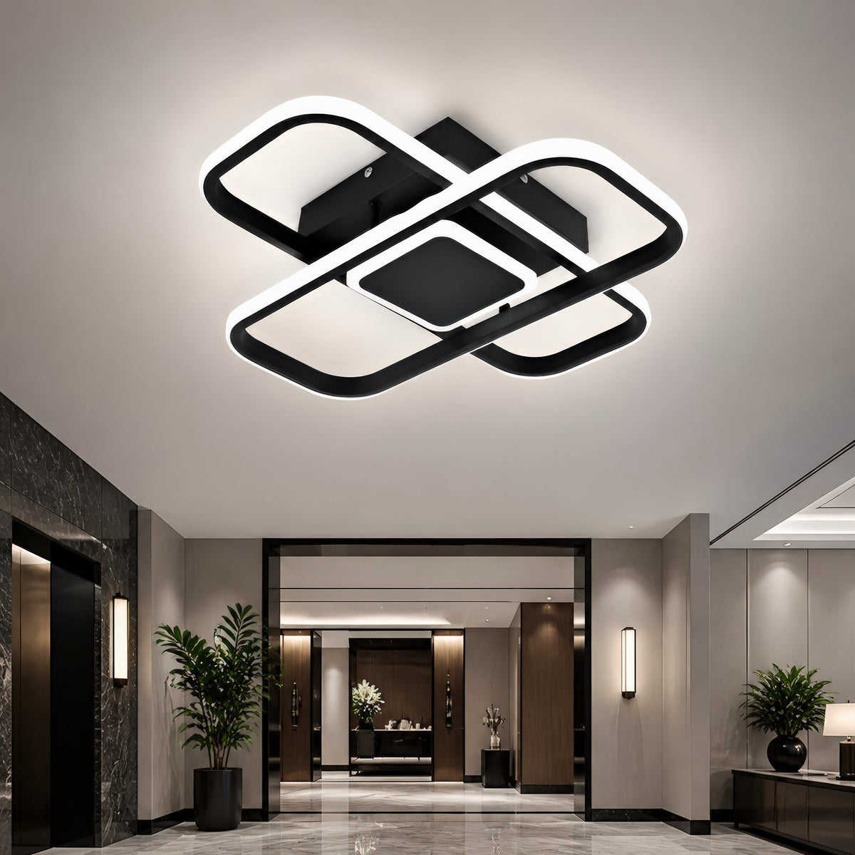 LT175BK — LT175BK - 14. PLACE 4.jpg