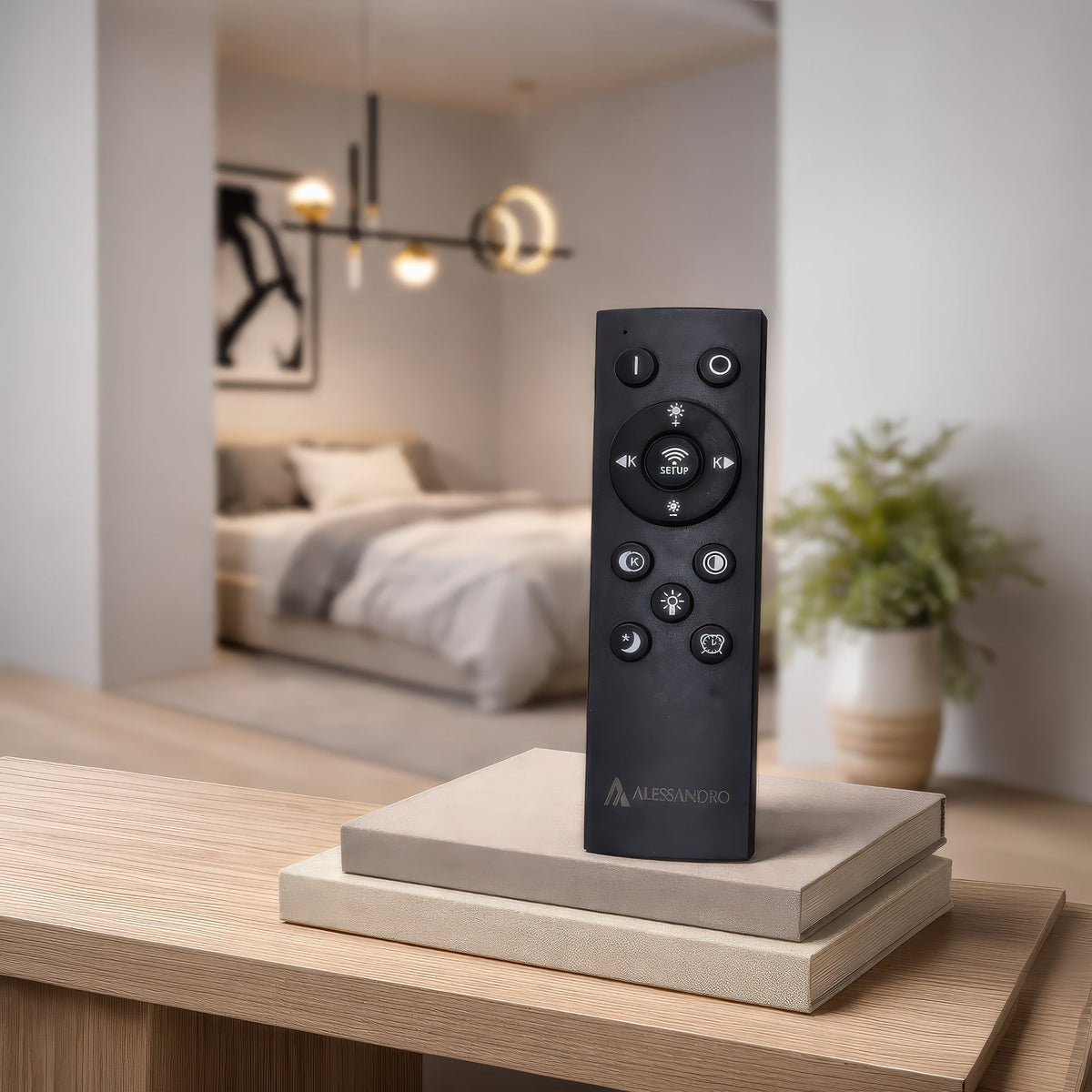 LT210BK — LT210BK - 2. REMOTE SHOW.jpg
