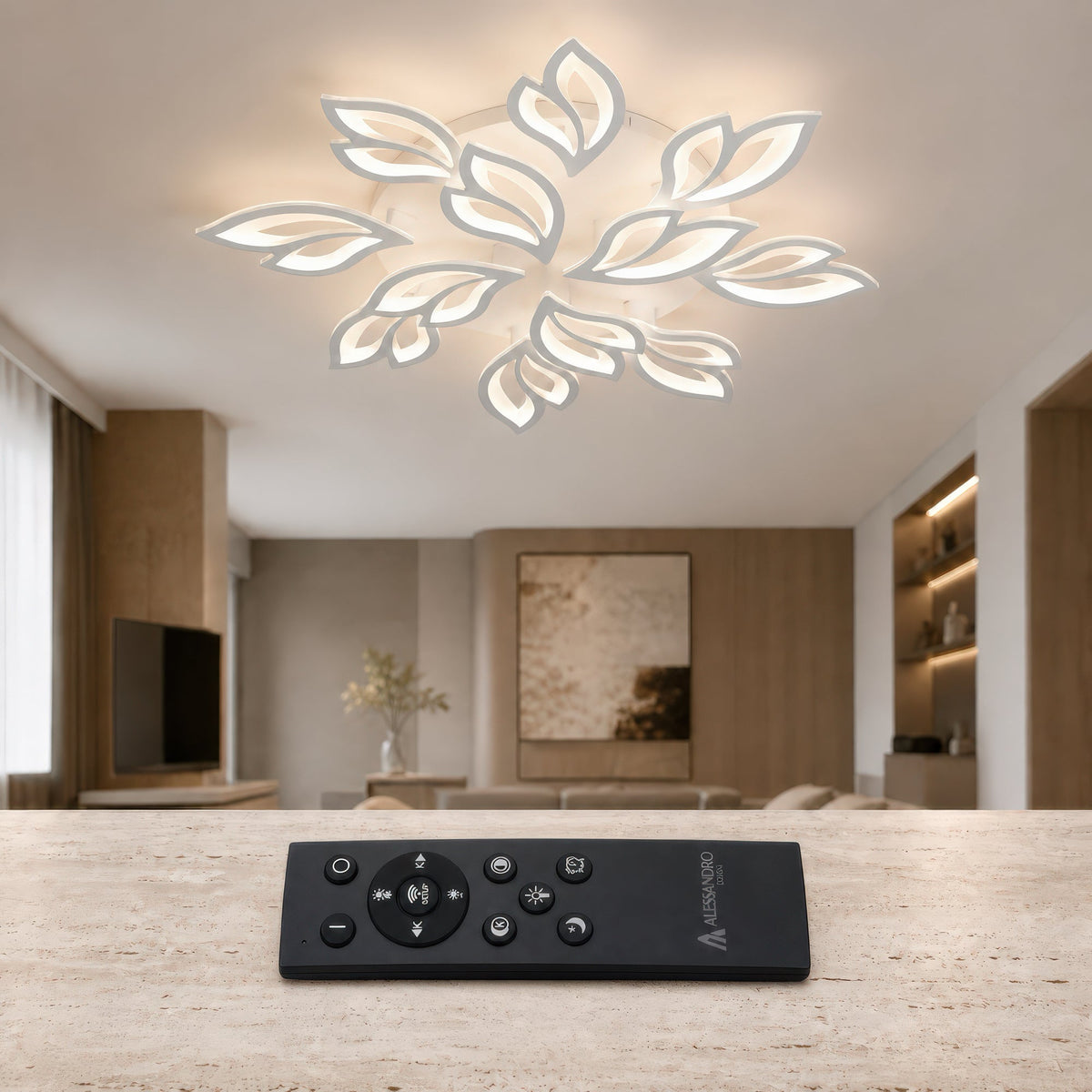 LT230_12WH — LT230_12WH - 2. REMOTE SHOW.jpg