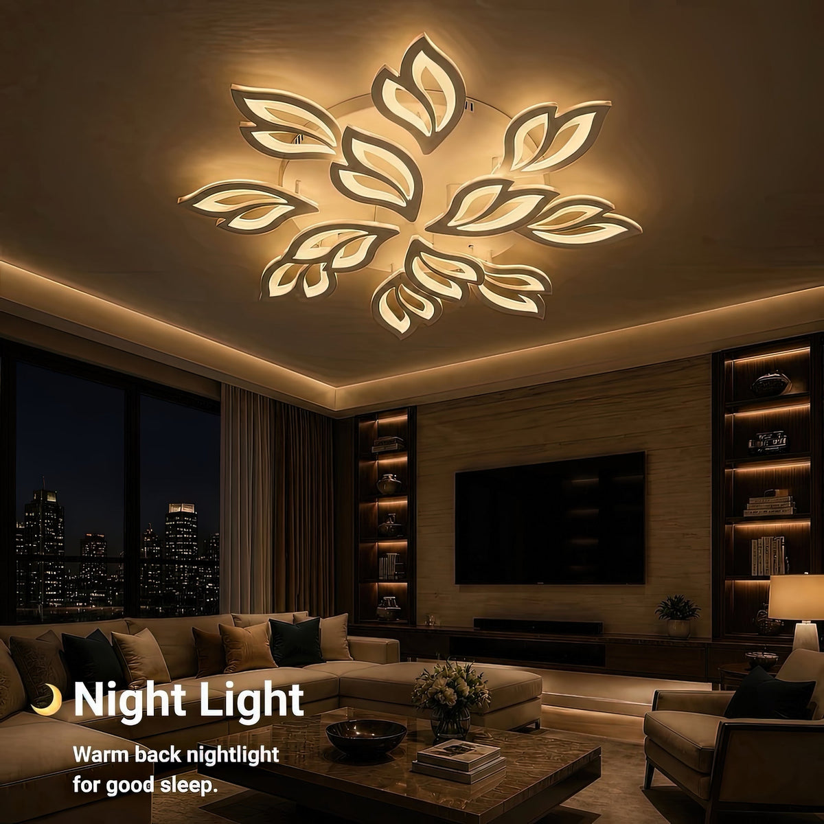 LT230_12WH — LT230_12WH - 5. NIGHT LIGHT.jpg