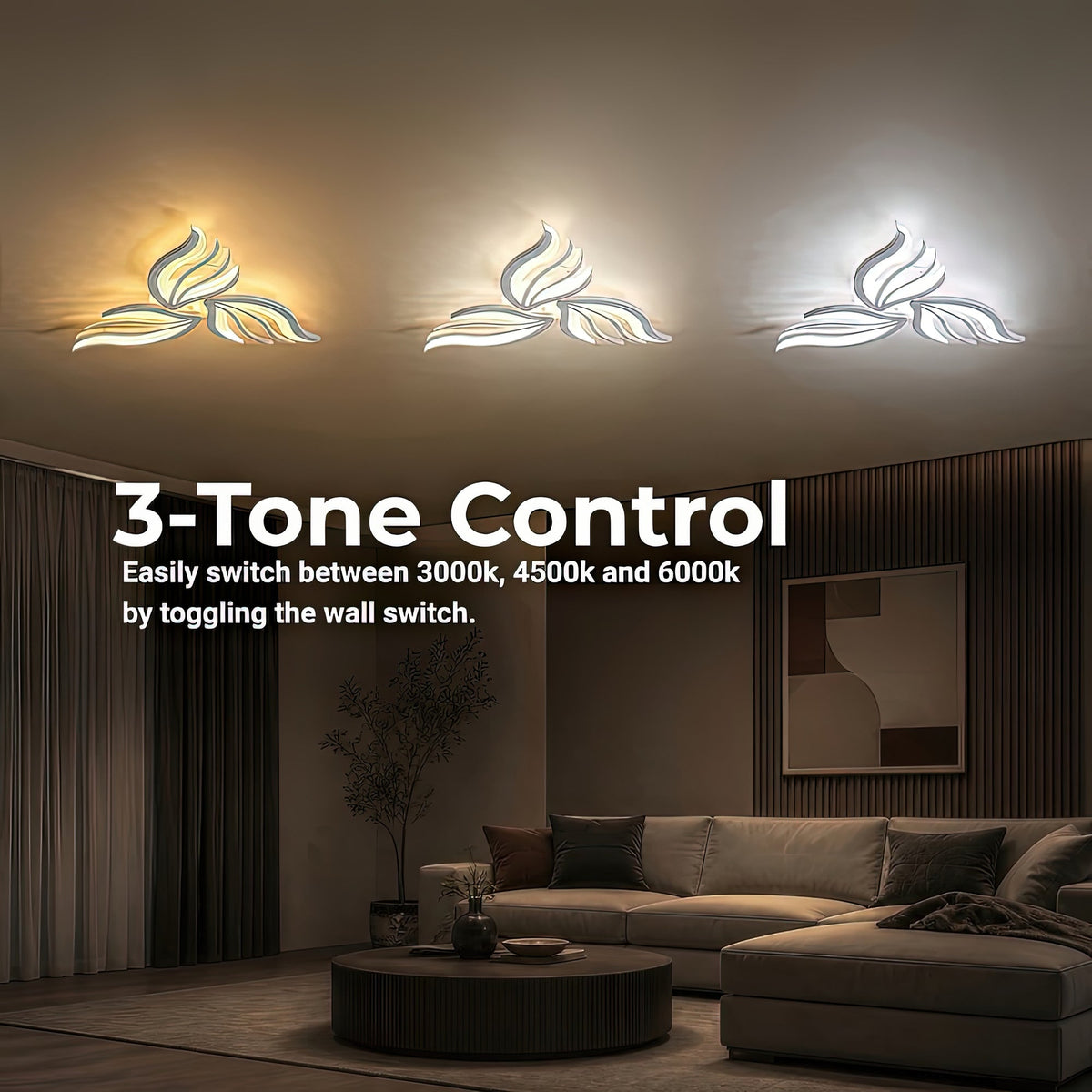 LT620_3WH — LT620_3WH - 4. 3-TONE CONTROL.jpg