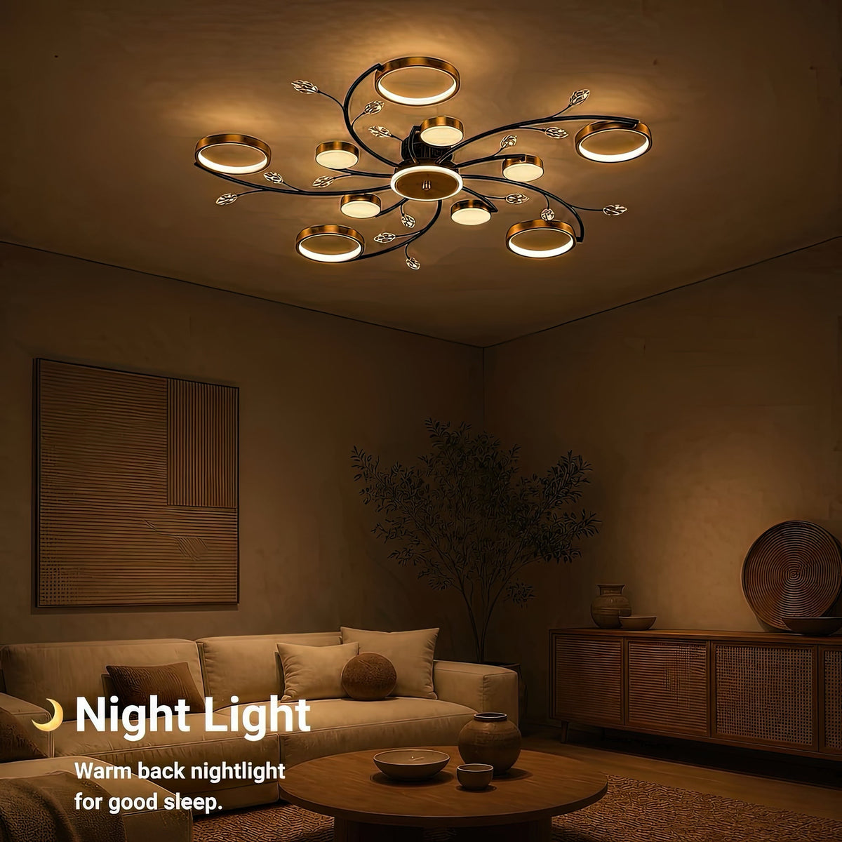 LT723_10GD - 5. NIGHT LIGHT