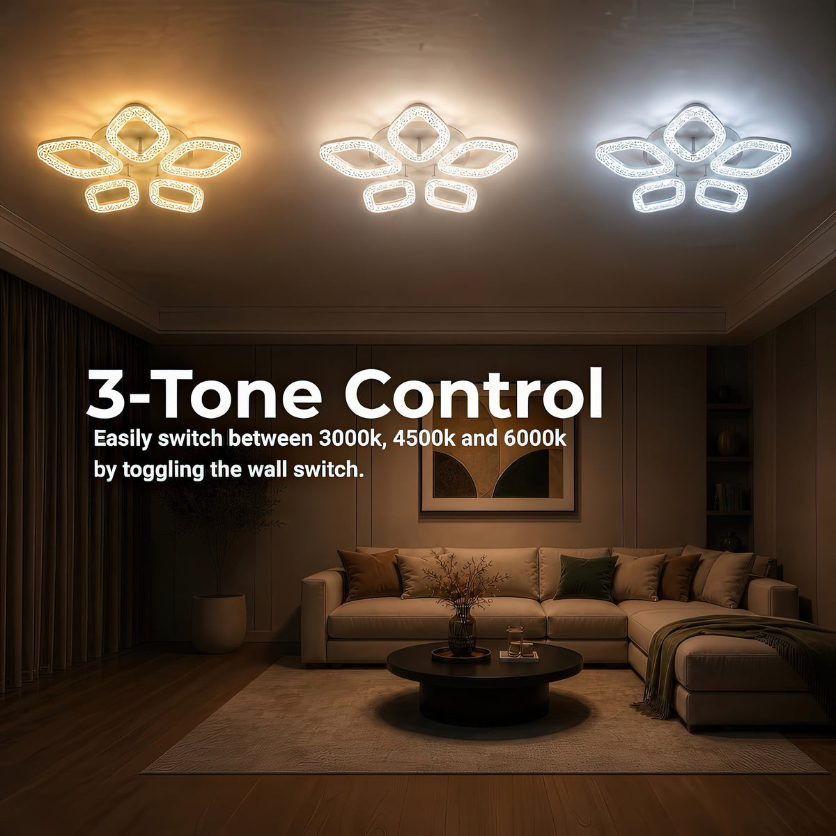LT768_5GD — LT768_5GD - 4. 3-TONE CONTROL.jpg