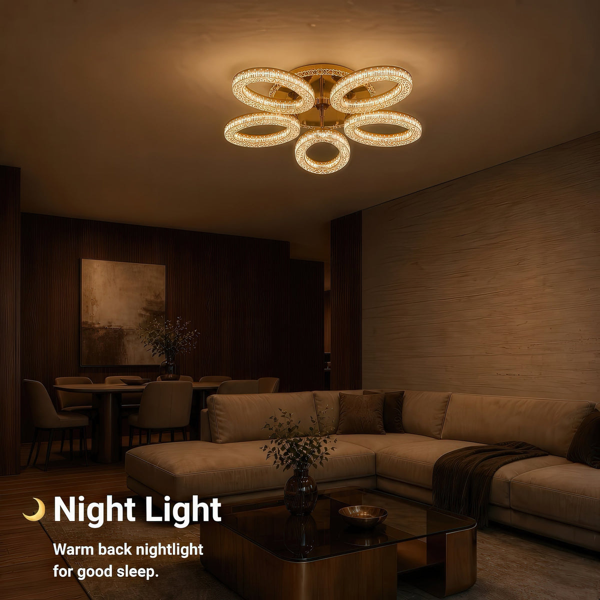 LT769_5GD — LT769_5GD - 5. NIGHT LIGHT.jpg