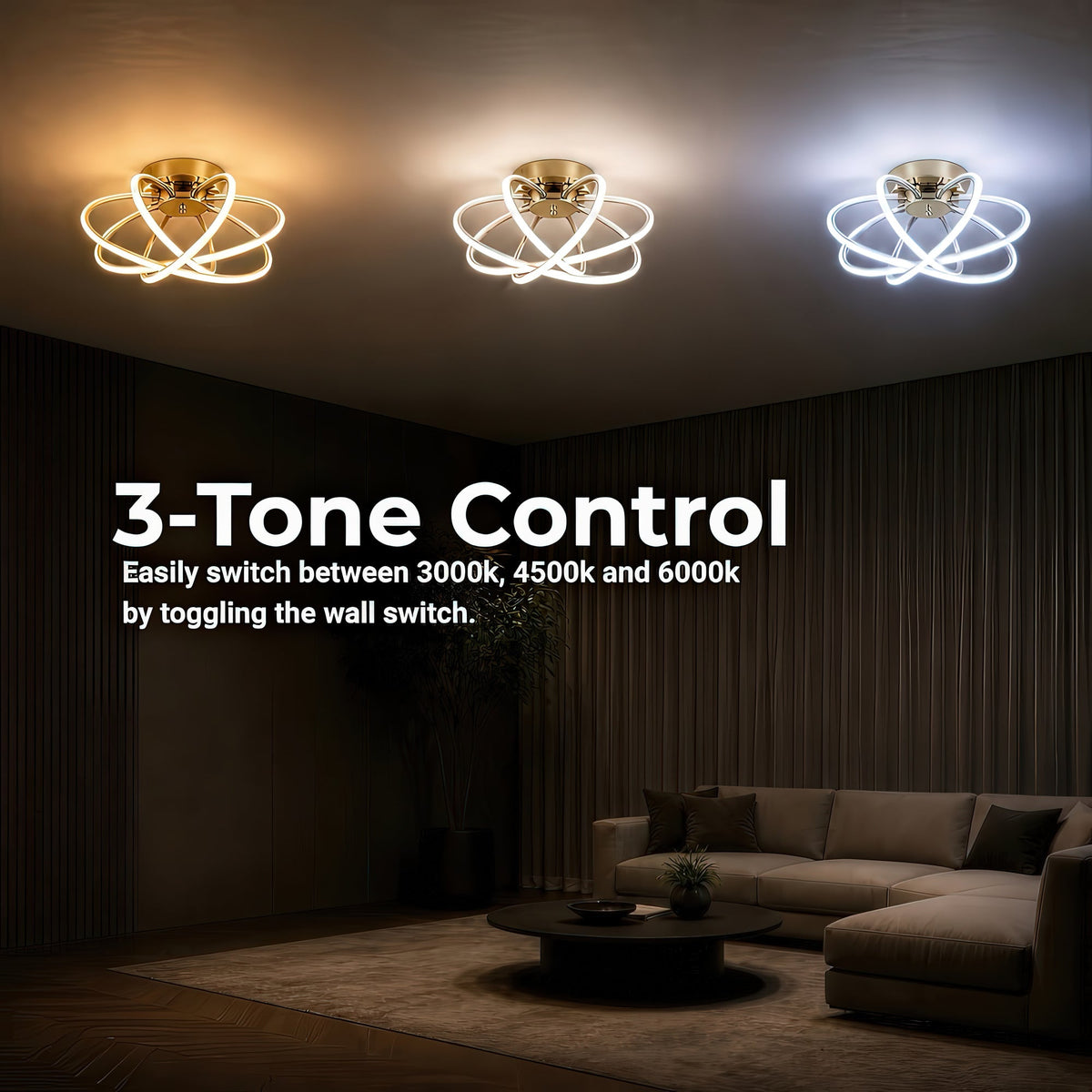 LT770_500GD — LT770_500GD - 4. 3-TONE CONTROL.jpg