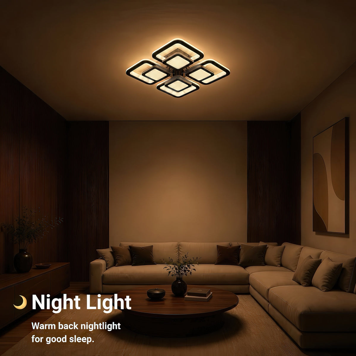 LT804_4BK — 5. NIGHT LIGHT