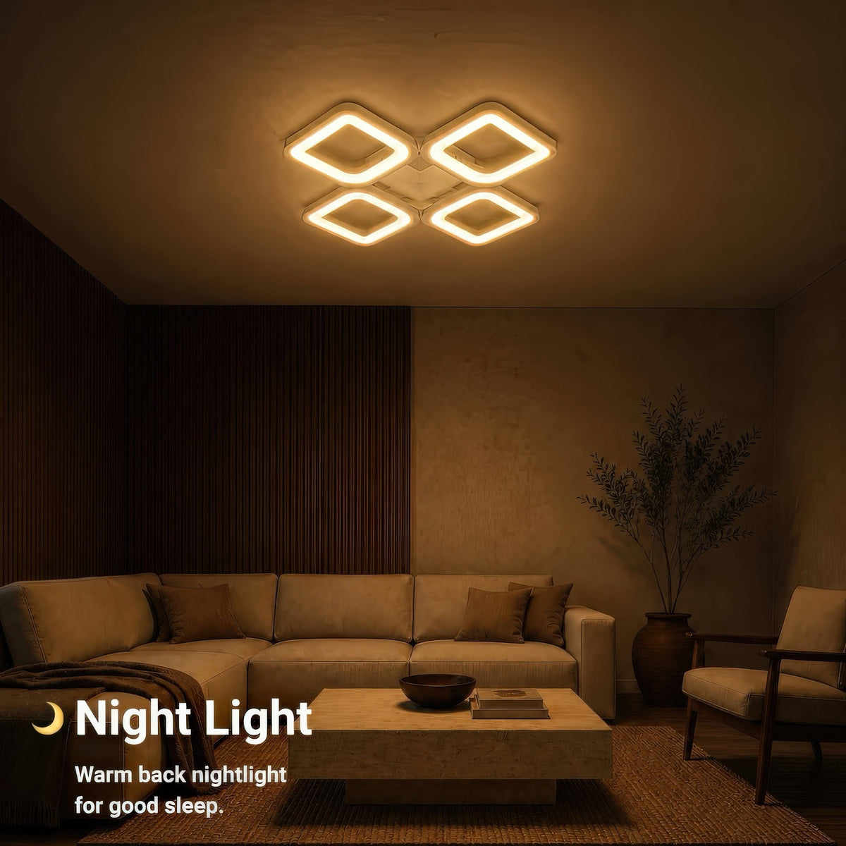 LT808_4WH — LT808_4WH - 5. NIGHT LIGHT.jpg