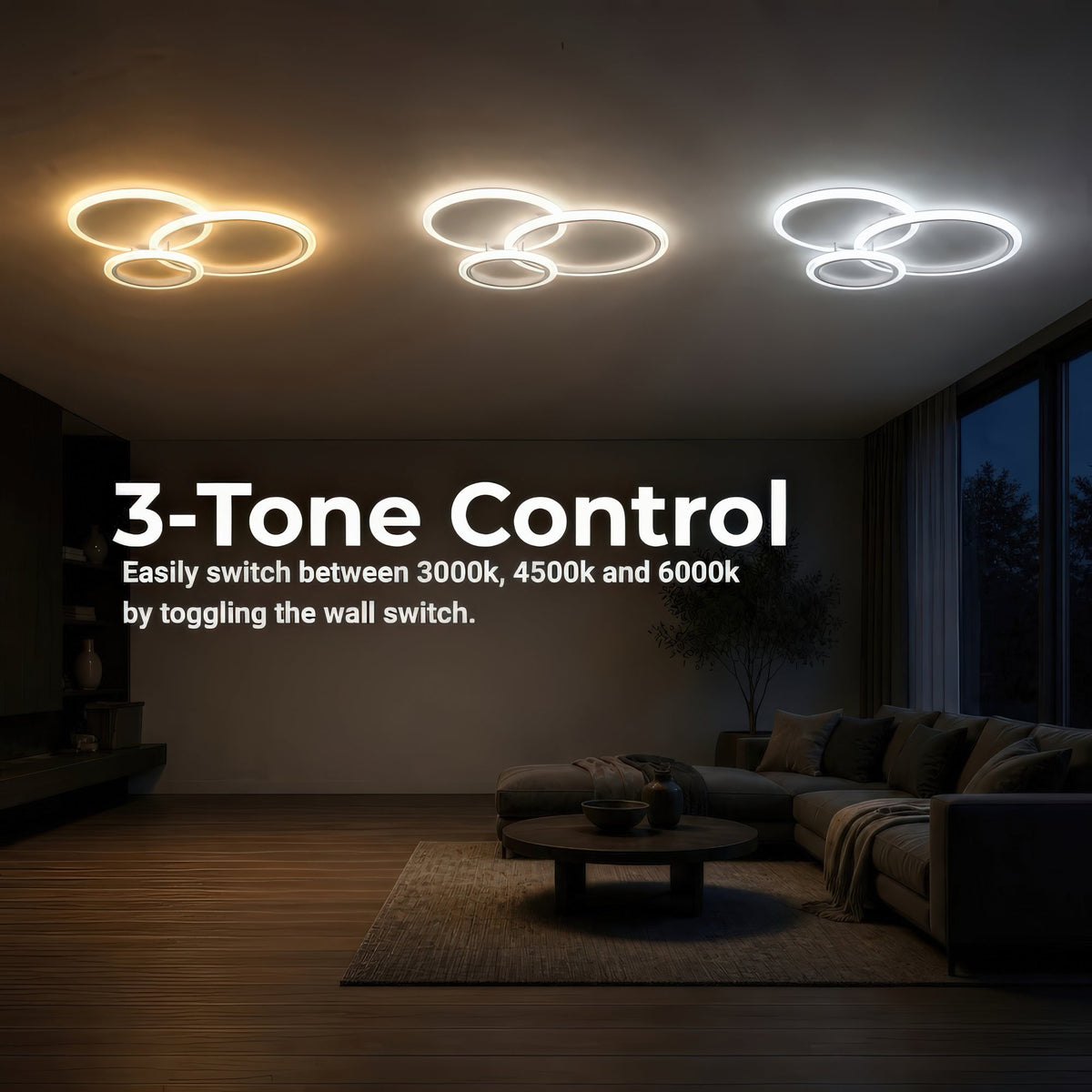 LT818_3WH — LT818_3WH - 4. 3-TONE CONTROL.jpg