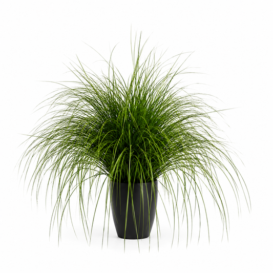 Planta Artificială Iarbă Ornamentală Tip Fântână, 110cm, Verde, Fara Ghiveci