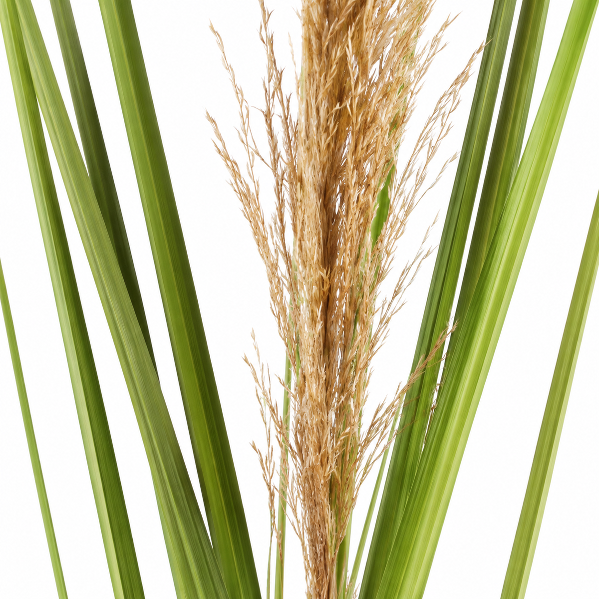 Planta Artificiala Iarba Ornamentala, 110 cm, Stuf si Iarba, Verde si Maro, Fara Ghiveci