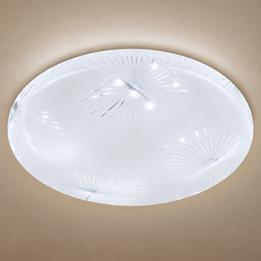 Plafonieră LED Raza 23 cm, 22W, 3000K / 4000K / 6000K, Alb, Metal si Acril