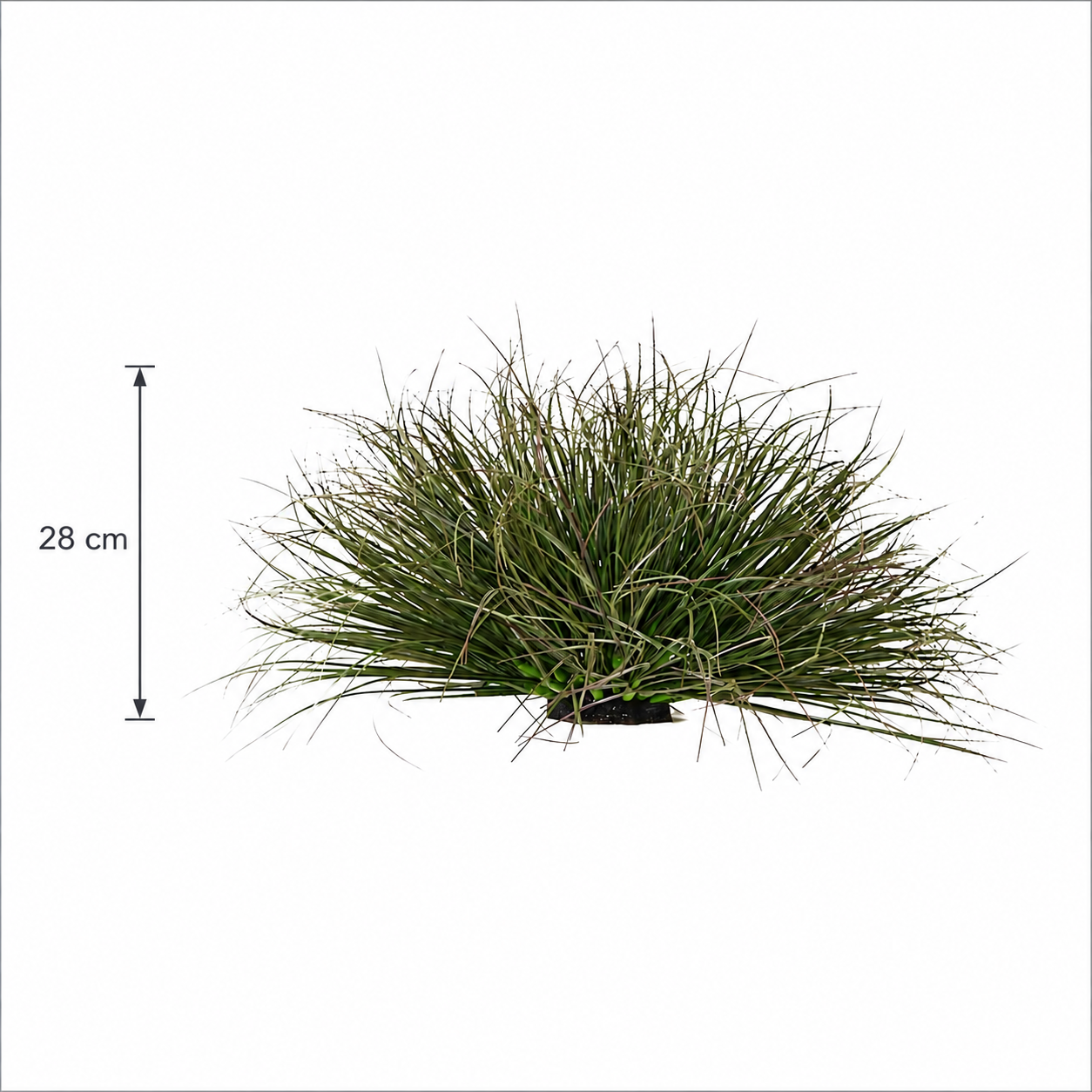 Tufă Artificială de Iarbă, 28 cm, Iarbă Tip Ceapă Curbată, Densitate Redusă, Plastic, Verde Închis