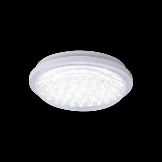 Plafoniera LED, Rezistenta la Apa, 7000K, Rotunda ZQZR/60 - LEDS