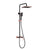 Coloana Dus, Alama Sanitara, Negru cu Roz-Gold, 10010H-M