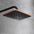 Coloana Dus, Alama Sanitara, Negru cu Roz-Gold, 10010H-M